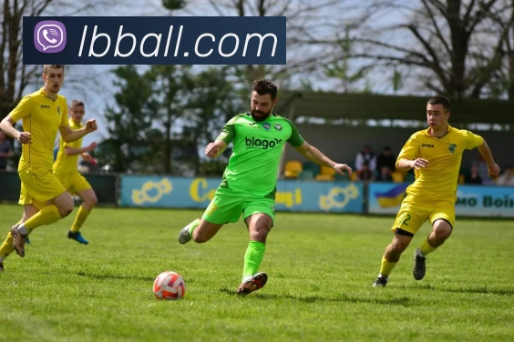 立博足球平台生态图