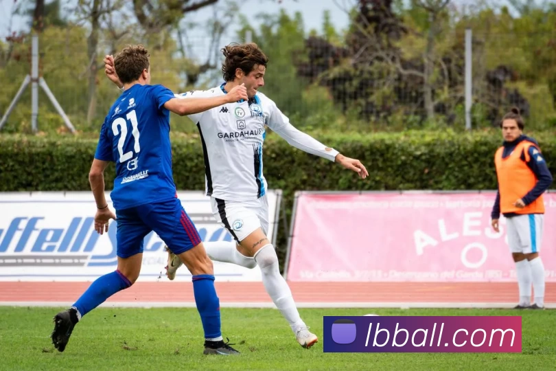 立博足球APP 封面图